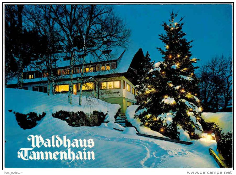 Allemagne - Hinterzarten - Hotel Pension Waldhaus Tannenhain - Hinterzarten