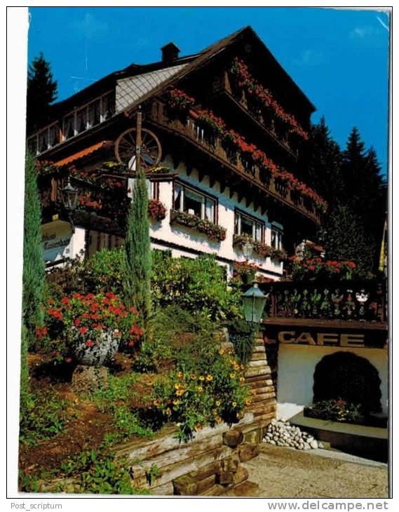 Allemagne - Hinterzarten - Hotel Pension Waldhaus Tannenhain 2 - Hinterzarten