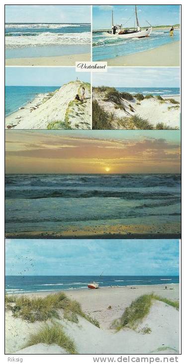 Die Nordsee - The North Sea. - Vesterhavet  # 891 - 5 - 99 Postales
