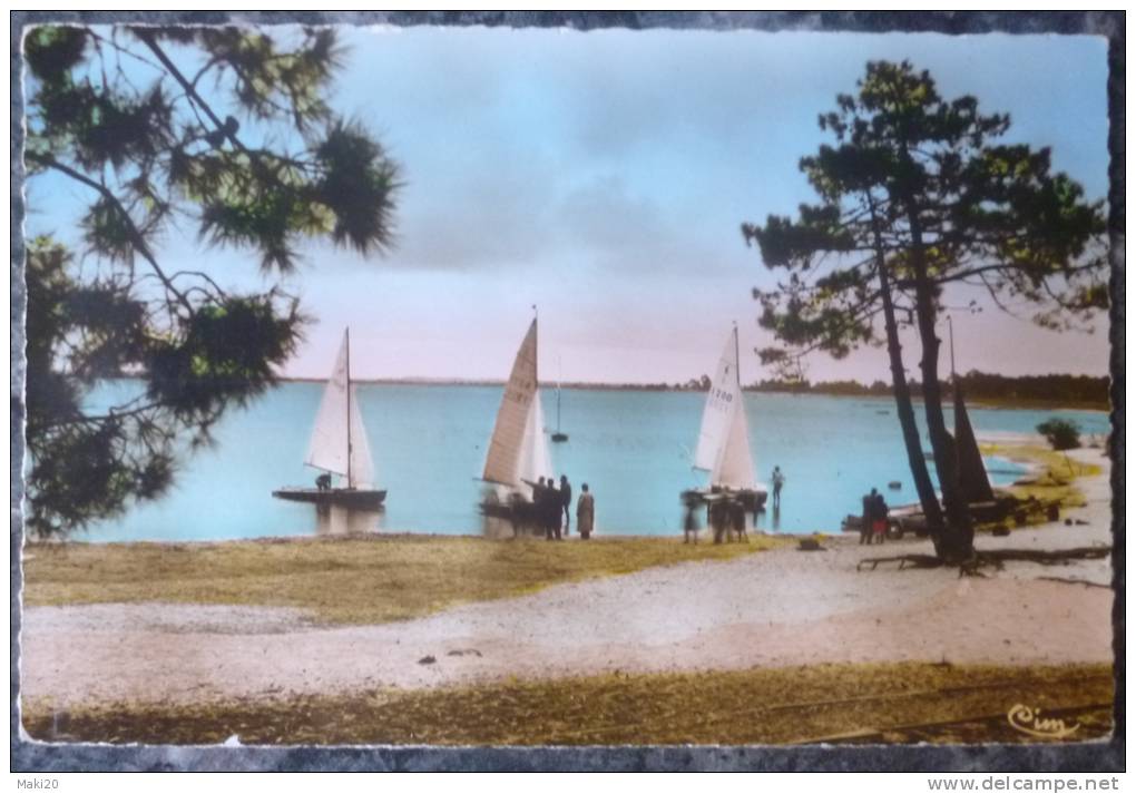 (33).CARCANS.REGATES SUR LE LAC A MAUBISSON.PHOTO VERITABLE.ANNEES 50.TBE. - Carcans