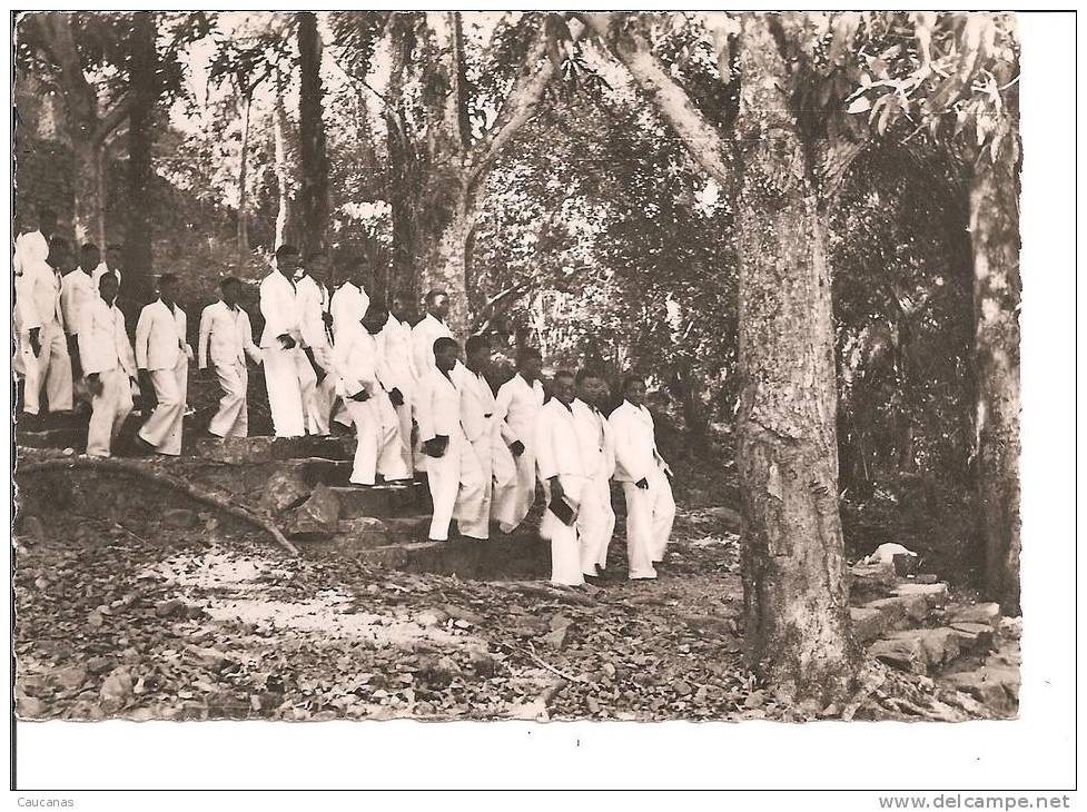 Eleves De L'ecole Biblique D'atakpame Se Rendant Au Culte - Togo