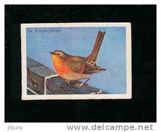 Le Rouge-Gorge / ( Oiseau )  // IM B-51-K - Altri & Non Classificati