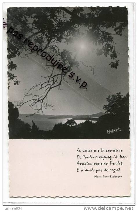 - Le PRADET - Clair De Lune, Signé Hubert, Splendide, 4 Lignes En Provençal De Meste Tony Esclagon, Non écrite, TBE,  . - Le Pradet