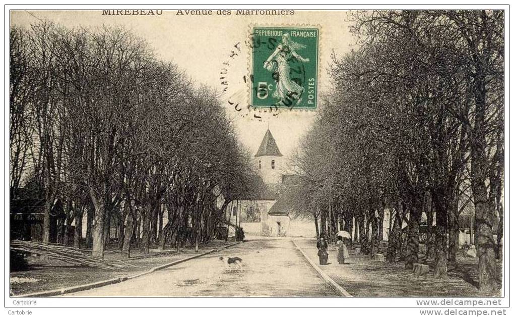 21 - MIREBEAU - Avenue Des Marronniers - Animée - Mirebeau