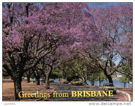 (490) QLD - Brisbane New Farm Jacaranda Trees - Brisbane