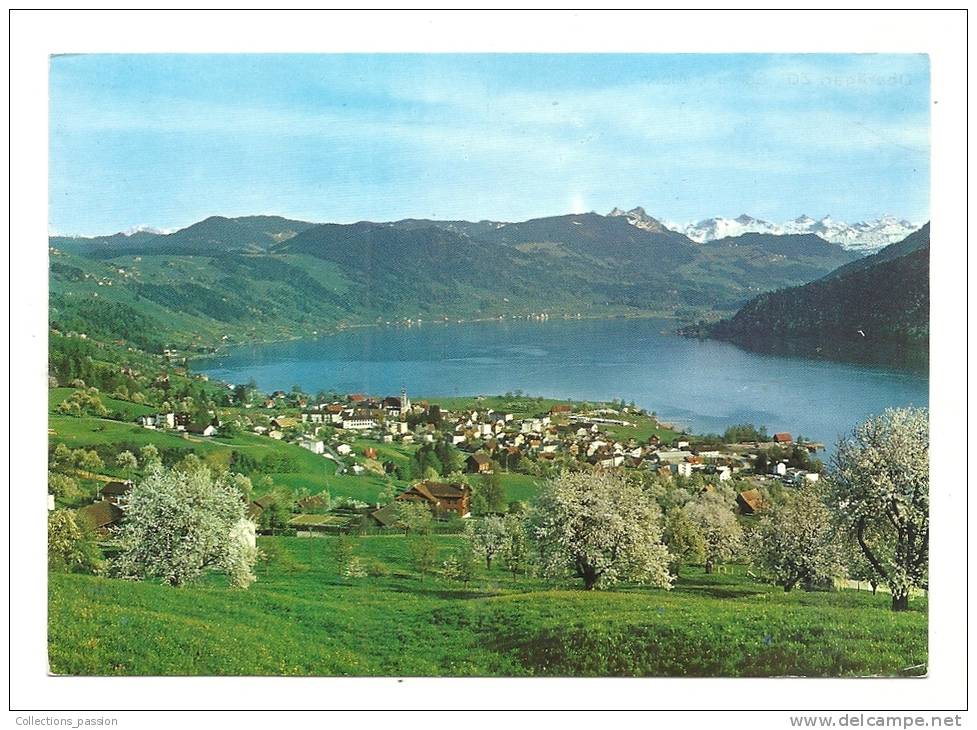 Cp, Suisse, Oberägeri, See Und ALpen, Voyagée 1969 - Oberägeri