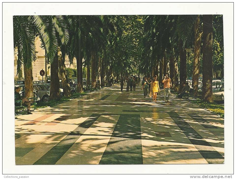 Cp, Espagne, Malaga, Promenade Du Parc, écrite - Málaga