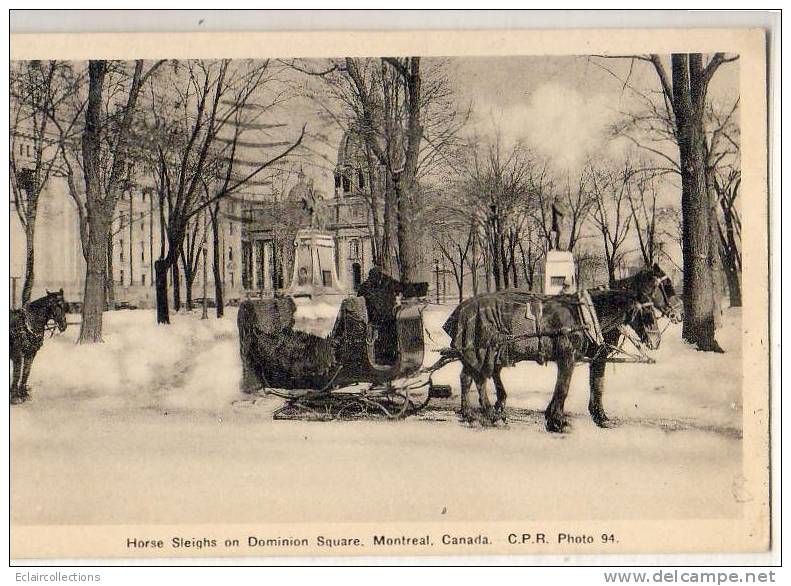 Canada     Québec   Montréal   Hors Sleighs On Dominion Square  Traneau Attelé Par Des Chevaux - Montreal