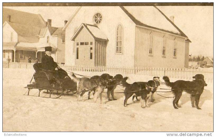 Canada     Attelage De Chiens De Traineau   Carte Photo   (voir Scan) - Sonstige & Ohne Zuordnung