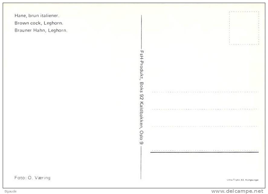 NORVEGE  CARTE  MAXIMUM   NUM.YVERT  865 AVICULTURE - Cartes-maximum (CM)