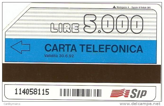 *ITALIA: ITALTEL - TELEFONO SENZA FILI* - Scheda SIP Usata - Public Special Or Commemorative