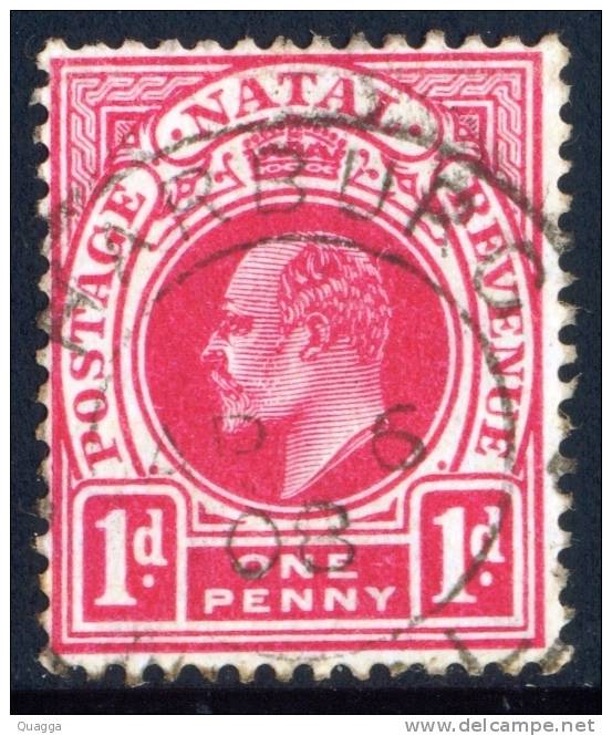 Natal Postmark HARBURG 1908 Cancel. - Natal (1857-1909)