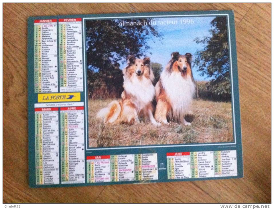 Calendrier Grand Format 1995 OLLER  Chatons Gris Tricolore Chaton Dans Un Carton A Chapeau - Big : 1991-00