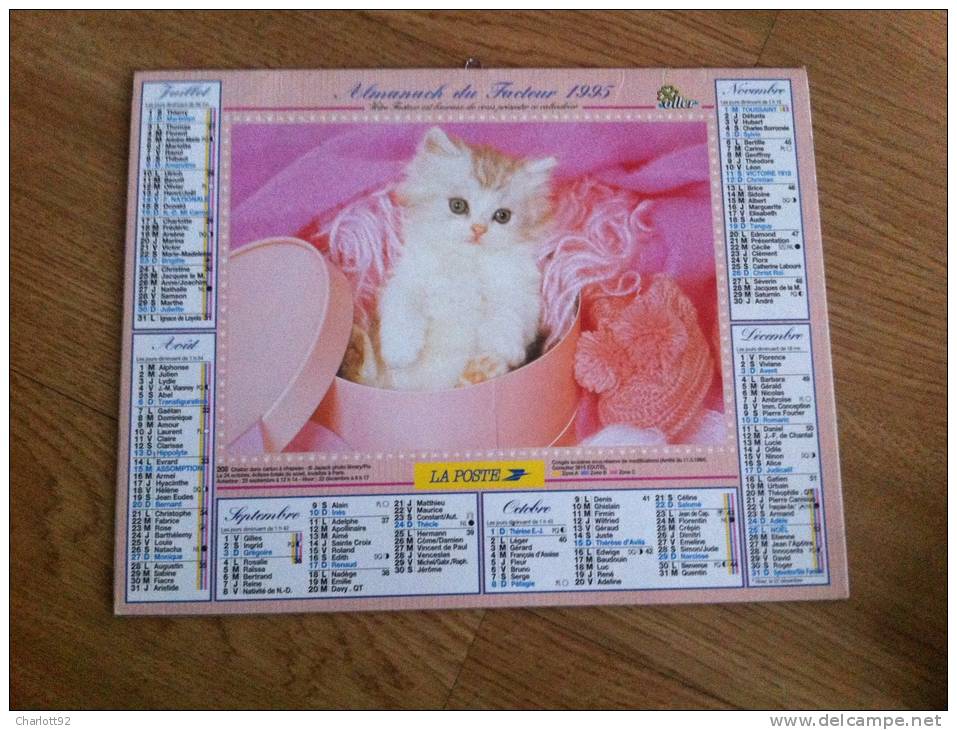 Calendrier Grand Format 1995 OLLER  Chatons Gris Tricolore Chaton Dans Un Carton A Chapeau - Groot Formaat: 1991-00