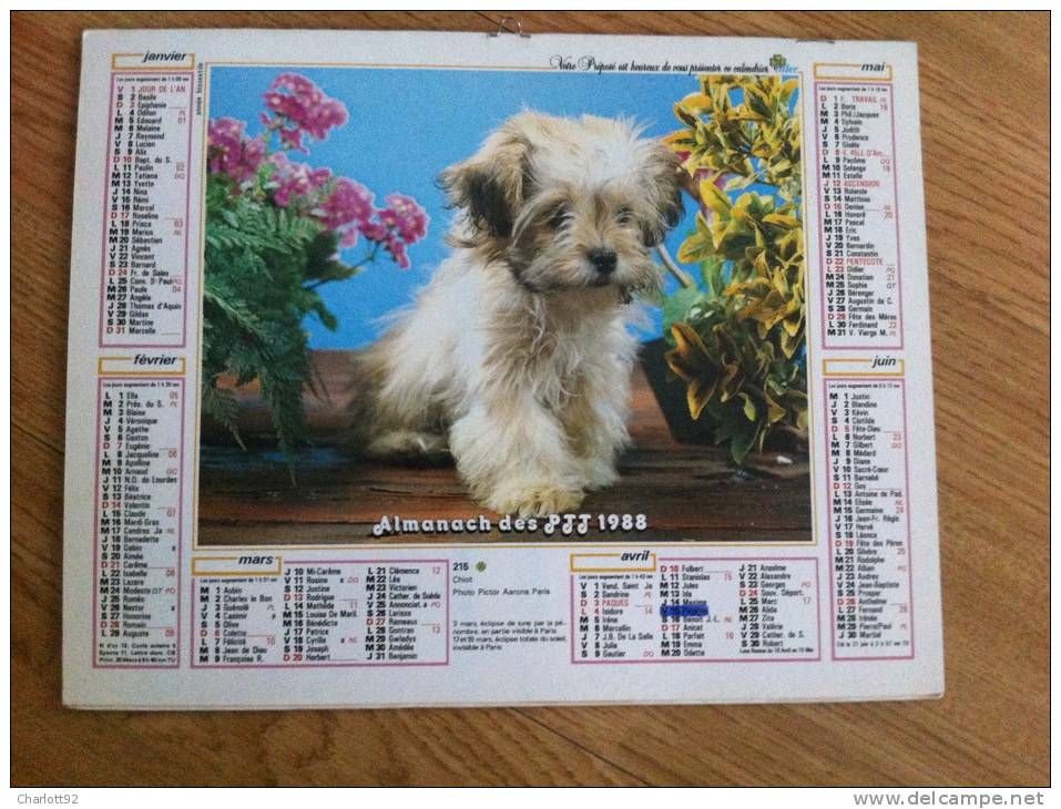 Calendrier Grand Format 1988 OLLER CHIOT CHATON DANS UN PANIER - Big : 1981-90