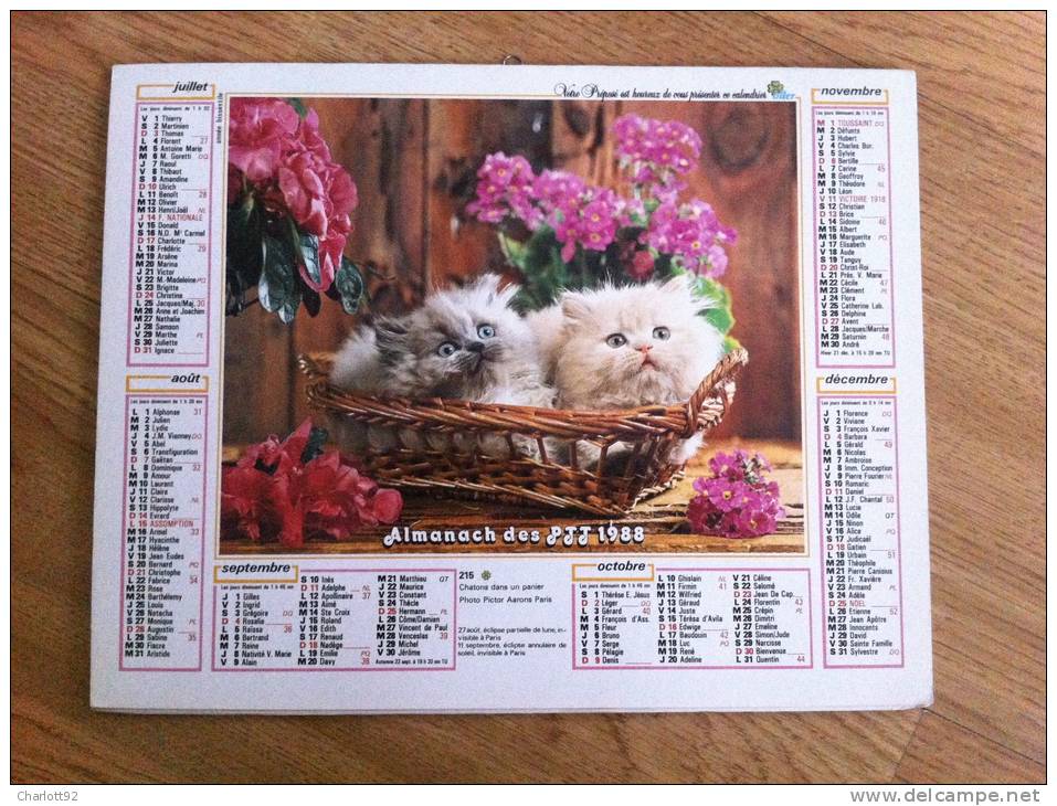 Calendrier Grand Format 1988 OLLER CHIOT CHATON DANS UN PANIER - Big : 1981-90