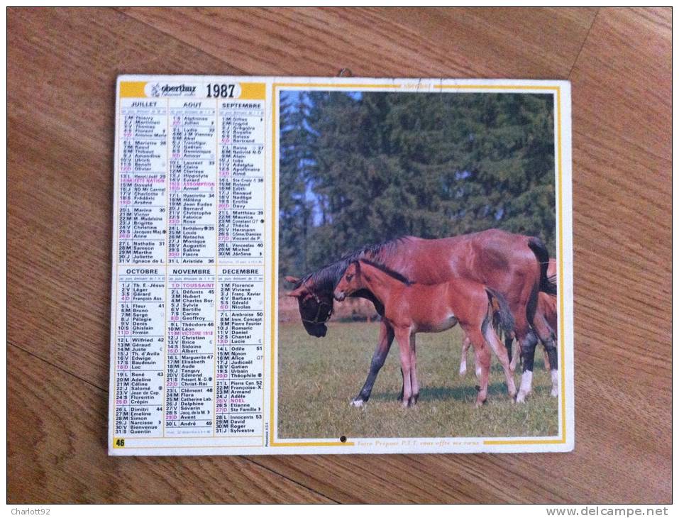 Calendrier Grand Format 1987 Oberthur - Big : 1981-90