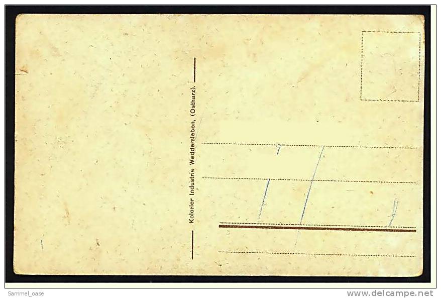 Bodetal Im Harz   -  Partie Im Bodetal  -  Ansichtskarte Ca. 1910    (1418) - Thale