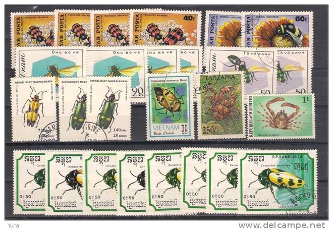 Lot 98   Insects   26 Different - Autres & Non Classés