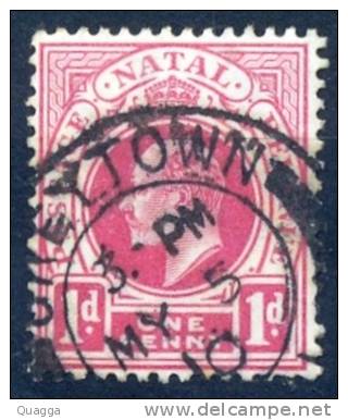 Natal Postmark GREYTOWN 1910 Cancel. - Natal (1857-1909)