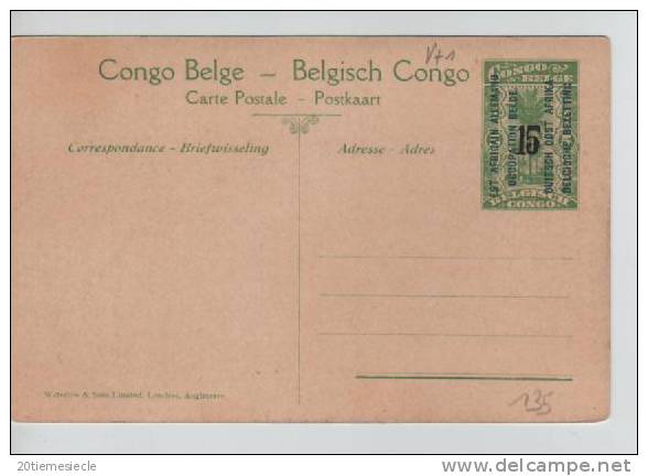 Belgisch Congo Belge CP Vue 11 Surchargé Est Africain Allemand Occupation Belge Unused AP196 - Entiers Postaux