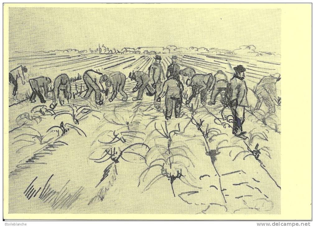 Dessin, 1888, Vincent Van Gogh 'planter Des Vignes'  (Arles (13) - Travail Au Champ, Ouvriers, Agriculture / Non écrit - Van Gogh, Vincent