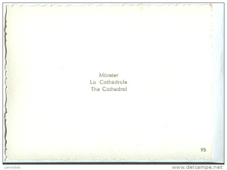 Switzerland, BERN, Munster, La Cathedrale, The Cathedral, Mini Photo[12594] - Other & Unclassified