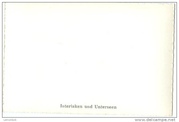 Switzerland, Interlaken Und Unterseen Mini Photo[12618] - Other & Unclassified