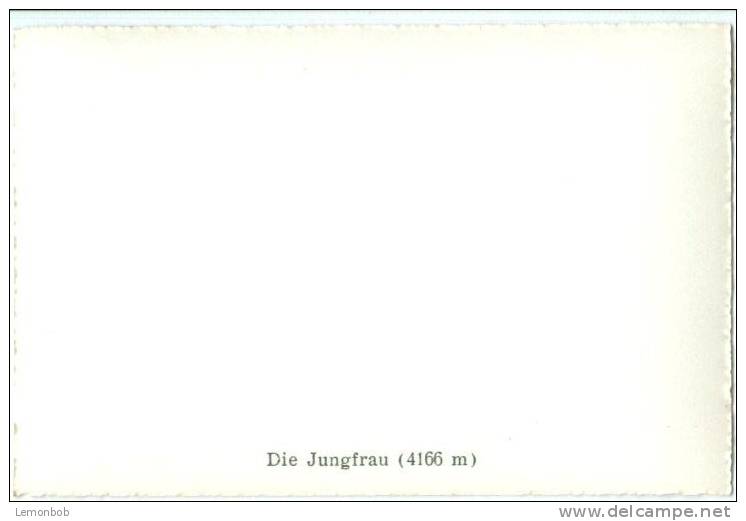 Switzerland, Die Jungfrau, Mini Photo [12621] - Other & Unclassified