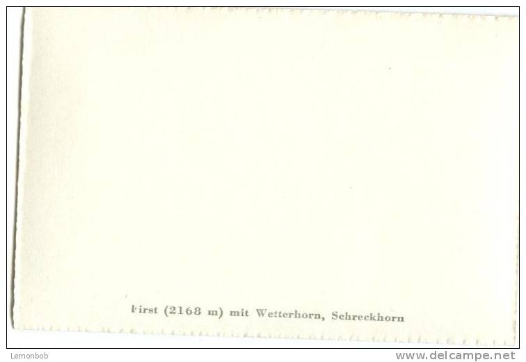 Switzerland, First Mit Wetterhorn, Schreckhorn Mini Photo[12625] - Other & Unclassified