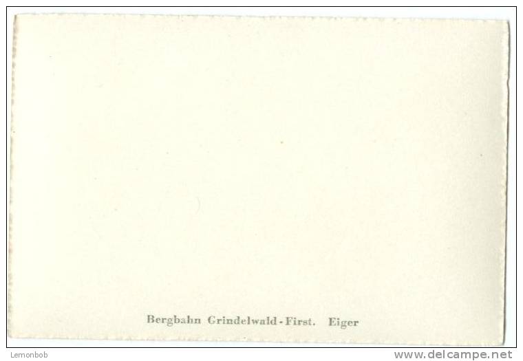 Switzerland, Bergbahn Grindelwald-First, Eiger, Mini Photo[12626] - Other & Unclassified