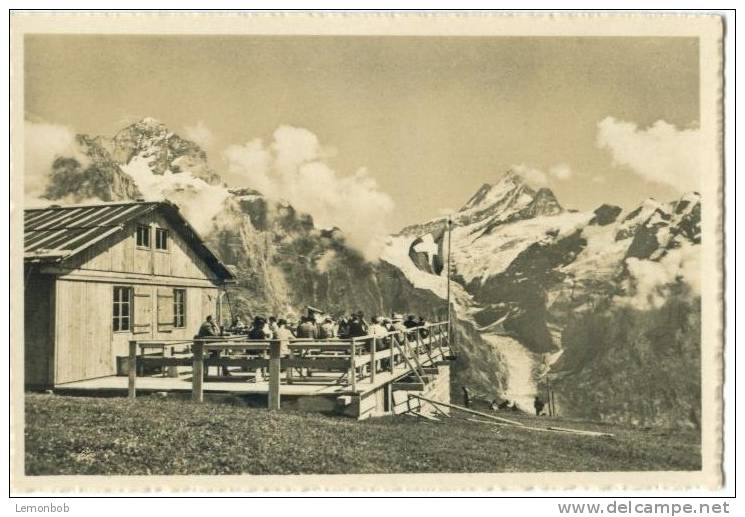 Switzerland, Grindelwald, Berg Restaurant First, Wetterhorn, Schreckhorn Mini Photo [12629] - Other & Unclassified