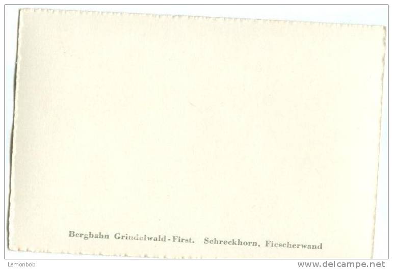 Switzerland, Bergbahn Grindelwald-First, Schreckhorn, Fiescherwand Mini Photo[12630] - Other & Unclassified