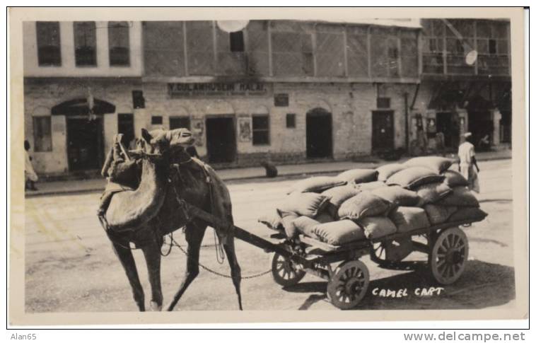 Camel Cart In Pakistan In Front Of Buildings On Vintage Real Photo Postcard - Pakistán