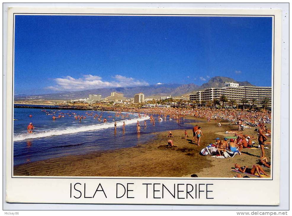 Espagne--ISLA DE TENERIFE--1992--Playa De Las Americas (animée),cpm N°5045 éd Matices - Tenerife