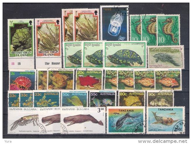 Lot 107 Marine Life  32 Different MNH, Used - Vie Marine