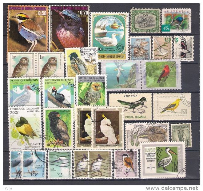 Lot 110  Birds  Small Collection  3 Scans 81  Different - Collections, Lots & Series