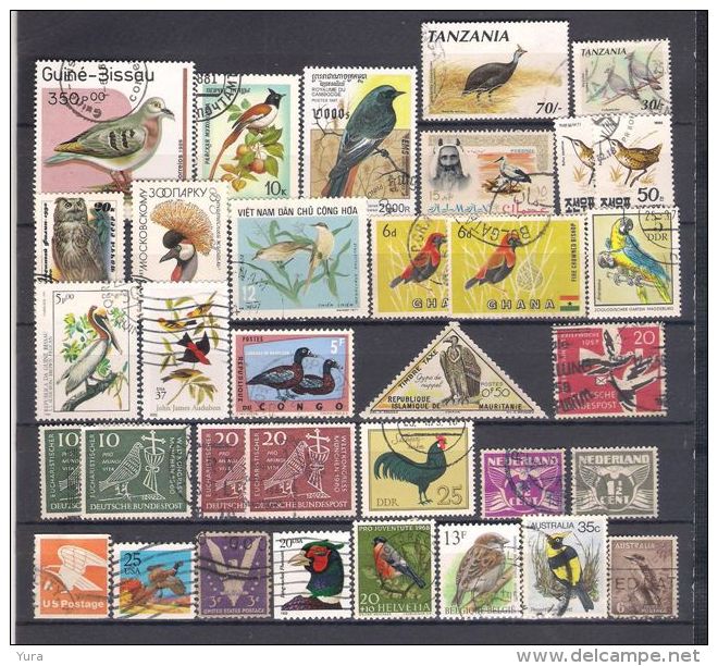 Lot 110  Birds  Small Collection  3 Scans 81  Different - Collections, Lots & Séries