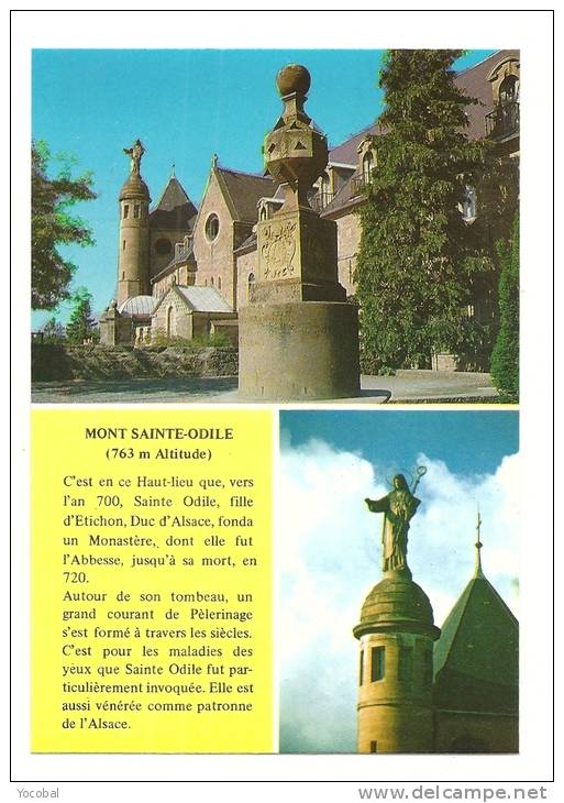 Cp, 67, Mont Sainte-Odile, Multi-Vues - Sainte Odile