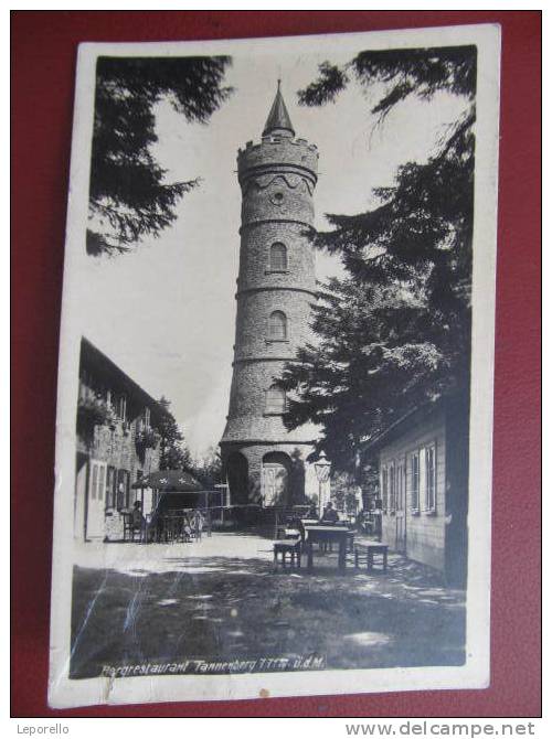 AK TANNENBERG Aussichtsturm 1930  //  D*5963 - Sudeten