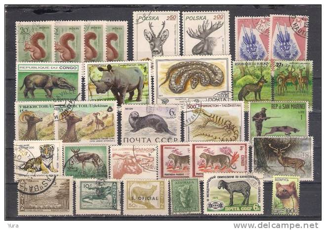 Lot 112  Mammals    3 Scans 80 Differents  MNH, Used - Otros & Sin Clasificación