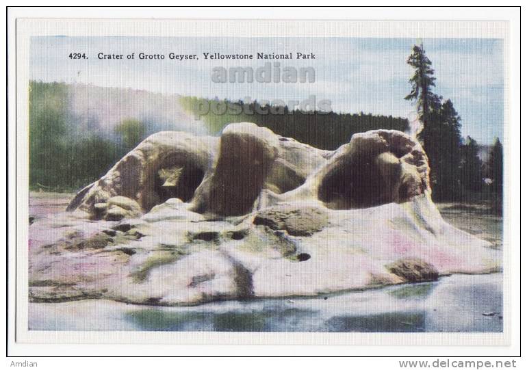 USA, YELLOWSTONE NATIONAL PARK, GROTTO GEYSER CRATER ERUPTION C1940s-50s Vintage Unused Postcard [c2923] - USA National Parks