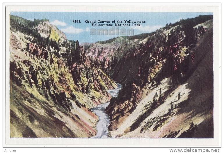 USA, YELLOWSTONE NATIONAL PARK, GRAND CANYON OF THE YELLOWSTONE, Vintage Unused Postcard C1940s-50s  [c2924] - USA National Parks