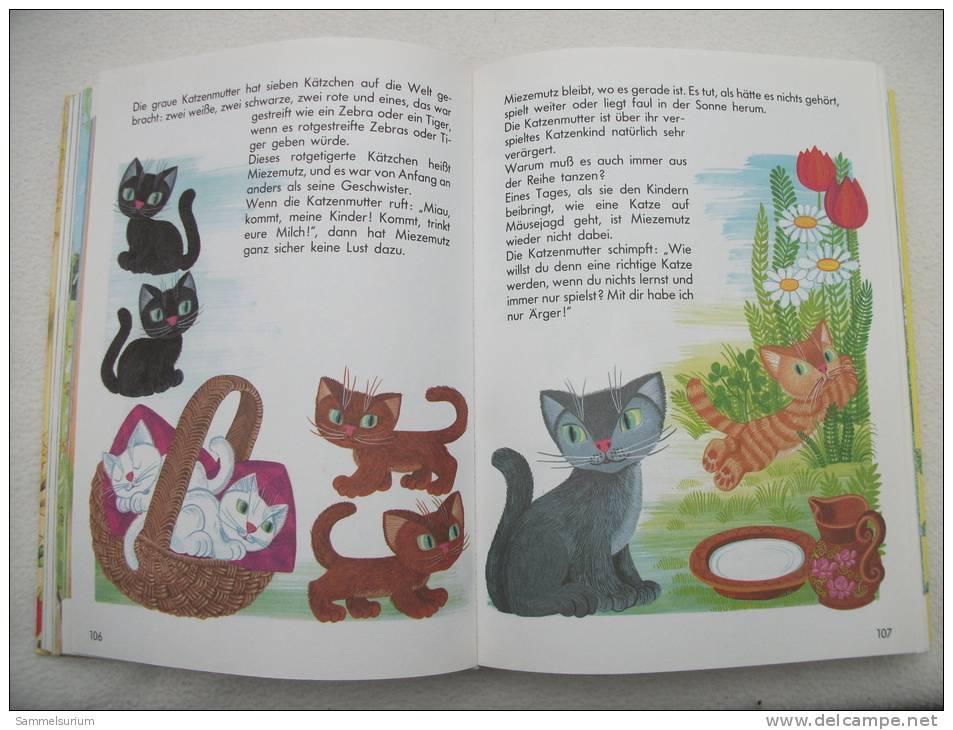 "Supertolle Tierabenteuer" Für Kleine Leute (in Großdruckschrift) Zum Vorlesen Und Selberlesen - Animals