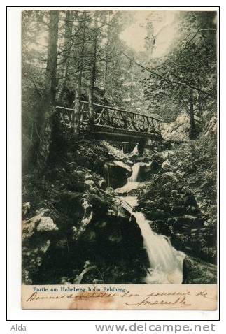 Partie Am Hebelweg Beim Feldberg - Feldberg