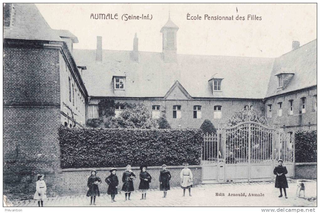 AUMALE - Ecole Pensionnat Des Filles - Splendide Carte Animée - Aumale