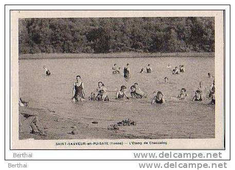 89 SAINT SAUVEURE EN PUISAYE - L'Etang De Chassaing - Saint Sauveur En Puisaye