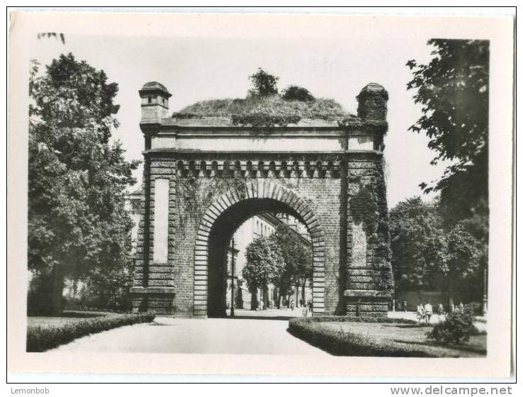 France, METZ, La Porte Serpenoise, Serpenoise Gate, Mini Photo[12642] - Other & Unclassified