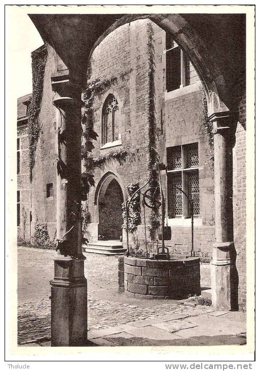 Château-Fort D´Ecaussinnes-Lalaing (XIVe Siècle) -Le Puit De La Cour Intérieure - Ecaussinnes