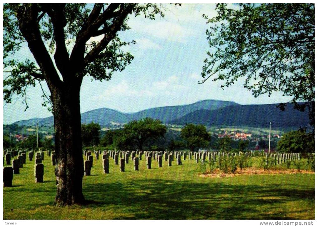 AK Deutscher Soldatenfriedhof Niederbronn/Frankreich, Ung - Cimetières Militaires